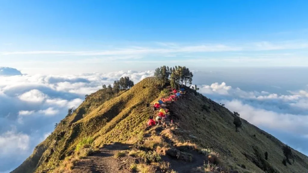 Jalur Pendakian ke Danau Segara Anak Resmi Ditutup Sementara